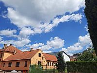 Olešná