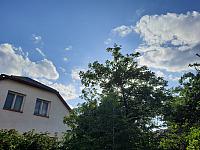 Olešná
