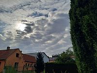 Olešná