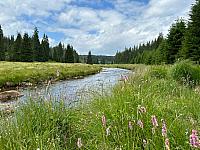 Modrava