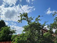 Olešná