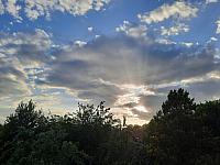 Olešná