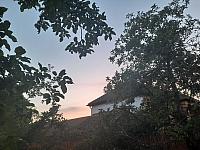 Olešná