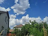 Olešná