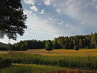 Mařenice
