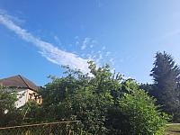 Olešná