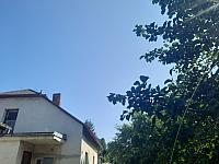 Olešná