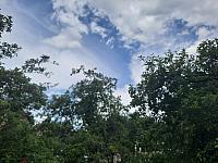 Olešná