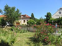 Třibřichy