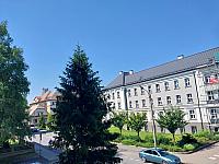 Český Těšín