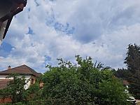 Olešná