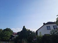 Olešná