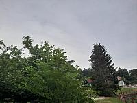 Olešná