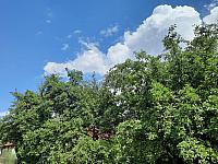 Olešná