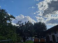 Olešná