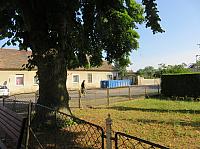 Třibřichy