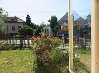 Třibřichy