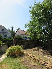 Třibřichy