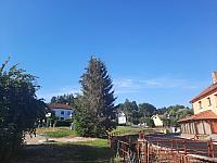 Olešná