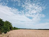 Lukovany