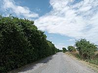 Lukovany