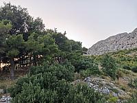 Omiš