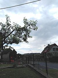 Světlá  Hora