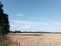 Lukovany