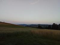 Hrčava