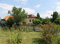 Třibřichy