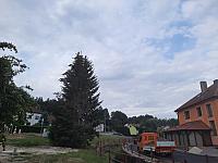 Olešná