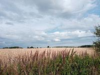 Lukovany