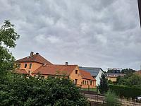 Olešná