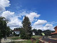 Olešná
