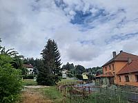 Olešná