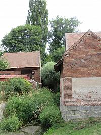Třibřichy