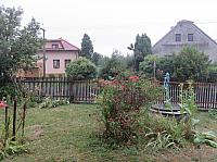 Třibřichy
