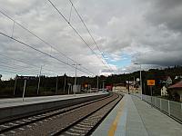 Zwardoň