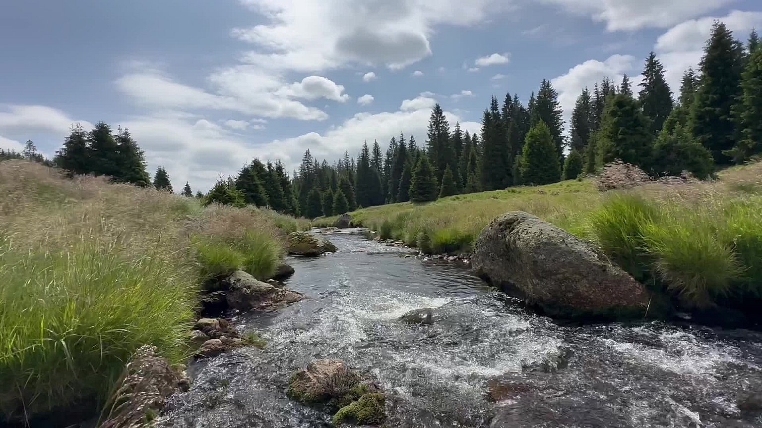 Modrava