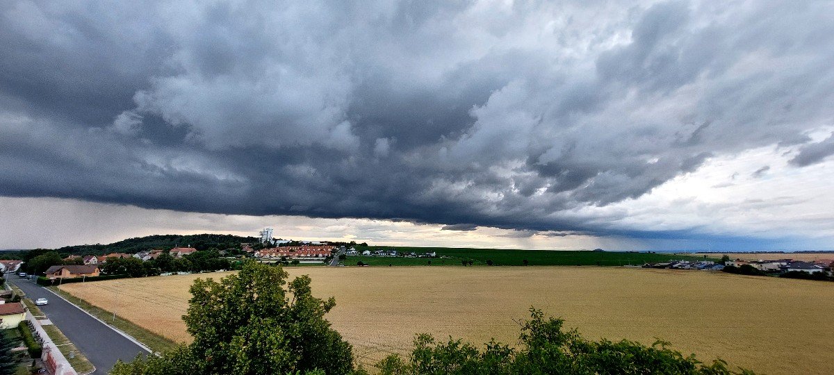 Vinařice