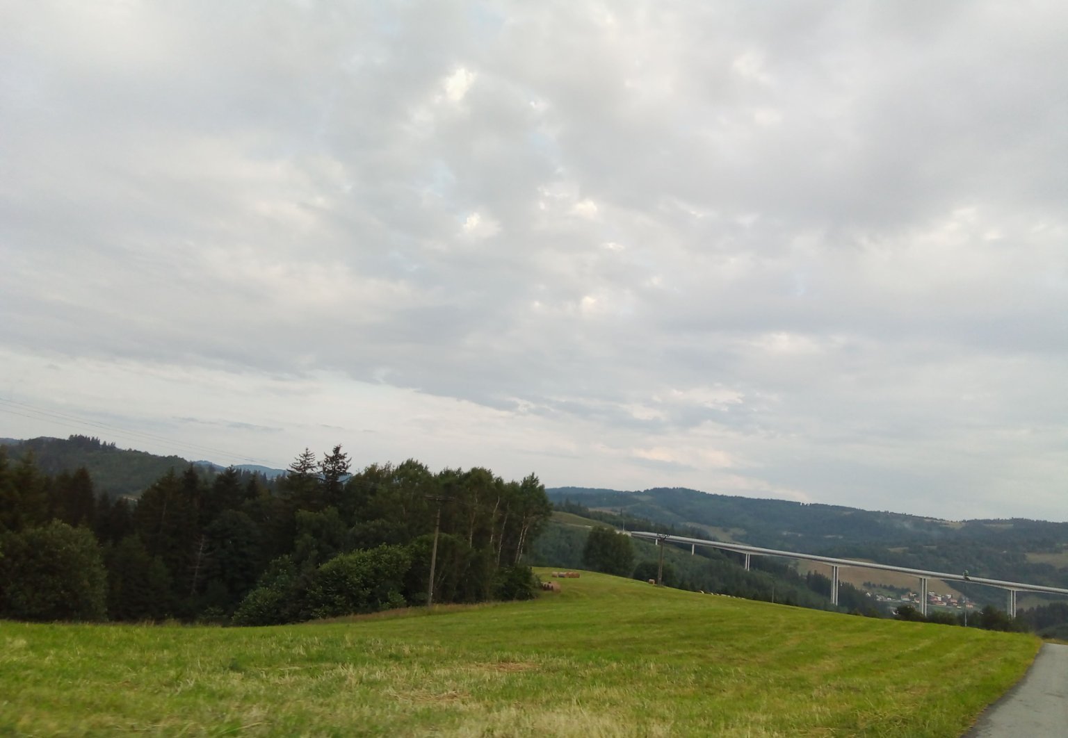 Hrčava