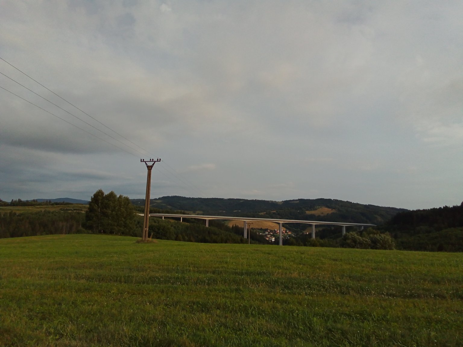 Hrčava