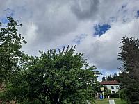 Olešná