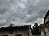 Olešná
