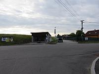 Třibřichy
