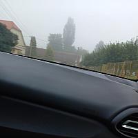 Třibřichy