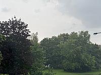 Fotografie