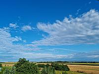 Odrovice