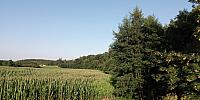 Lukovany