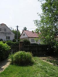 Třibřichy